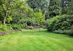 Optimiser l'expérience du jardin à Inaumont